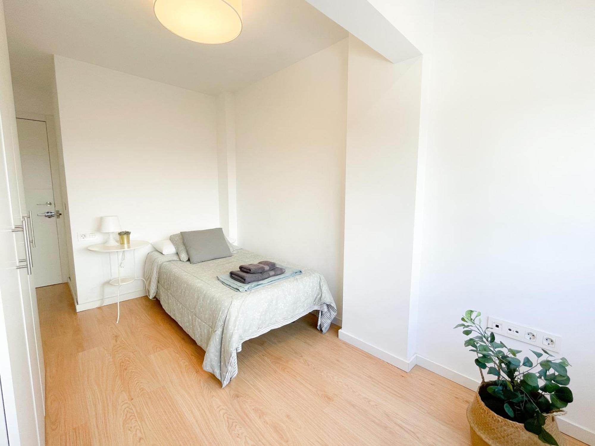 Moderno Apartamento Plz De La Merced مالقة المظهر الخارجي الصورة